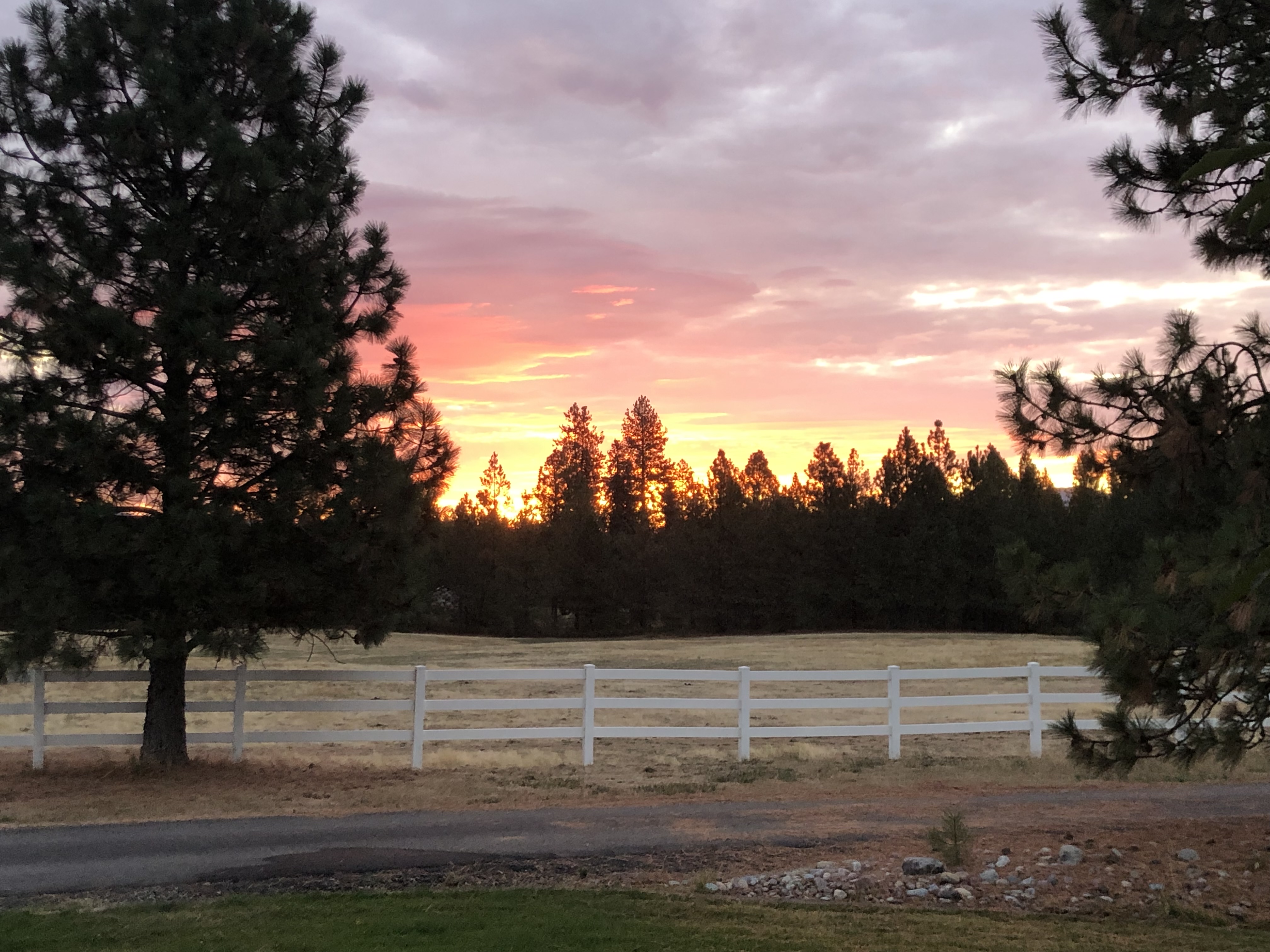 Sunset over the paddock with white fence and trees