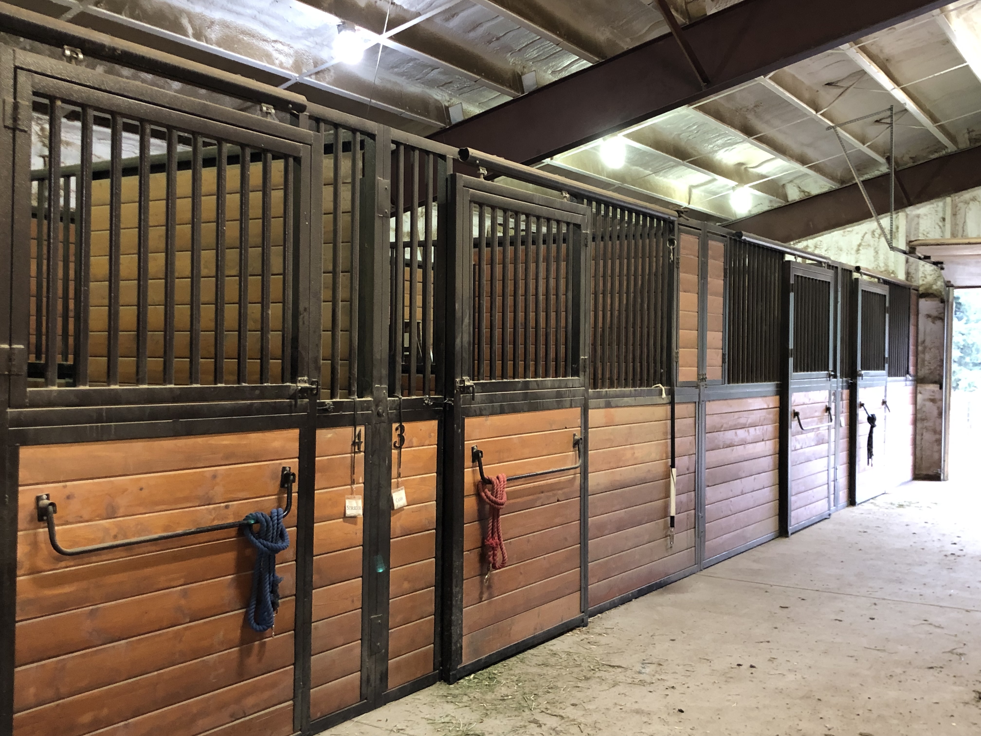 Horse stalls in the barn